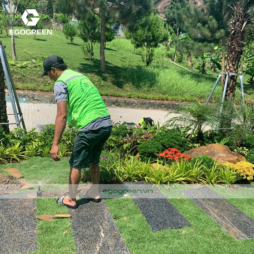 Tiết kiệm chi phí tưới tiêu vào mùa mưa